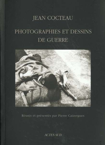 Emprunter Photographies et dessins de guerre livre