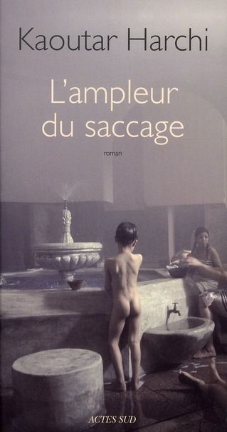 Emprunter L'ampleur du saccage livre