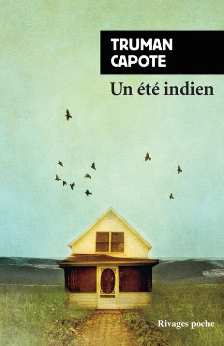 Emprunter Un été indien livre