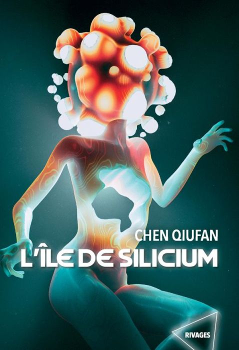 Emprunter L'île de Silicium livre