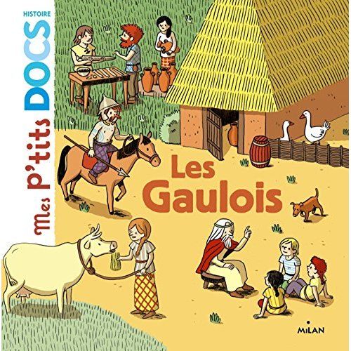 Emprunter Les Gaulois livre