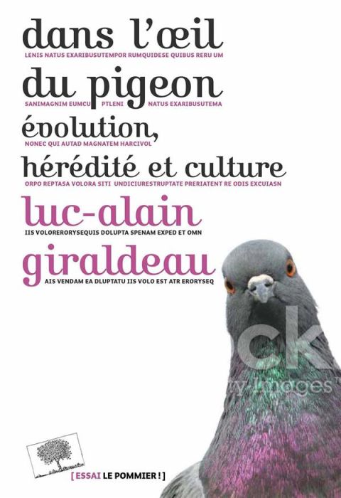 Emprunter Dans l'oeil du pigeon. Evolution, hérédité et culture livre