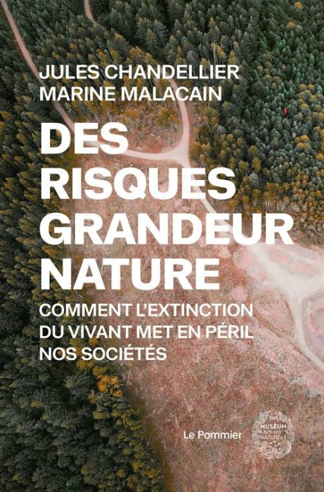 Emprunter Des risques grandeur nature. Comment l'extinction du vivant met en péril nos sociétés livre