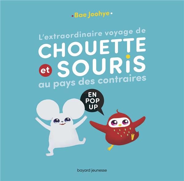 Emprunter L'extraordinaire voyage de Chouette et Souris au pays des contraires. En pop-up livre