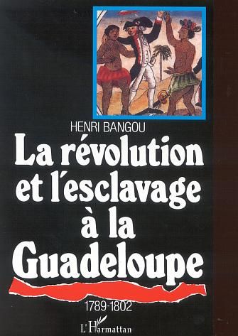 Emprunter La révolution et l'esclavage à la Guadeloupe livre