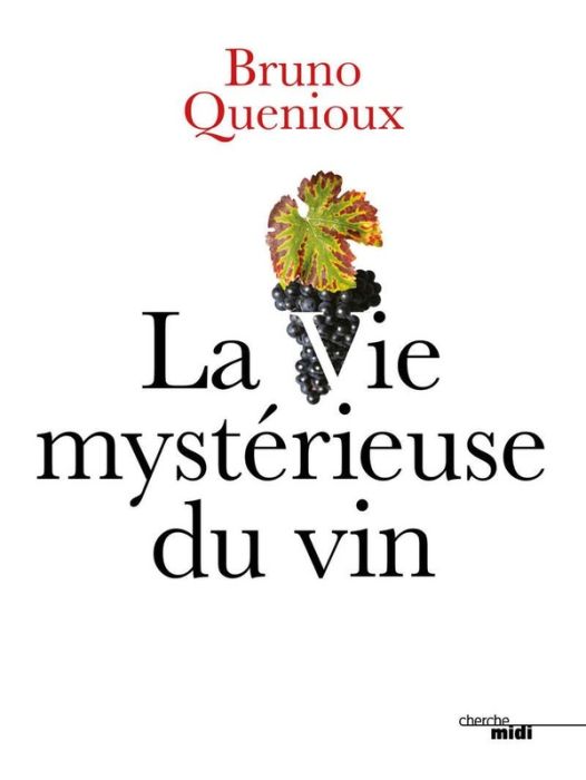 Emprunter La vie mystérieuse du vin livre