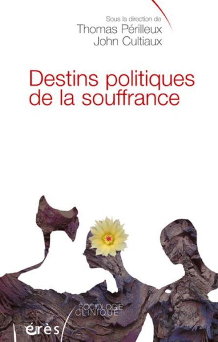 Emprunter Destins politiques de la souffrance. Intervention sociale, justice, travail livre