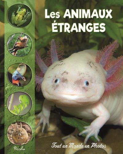 Emprunter Les animaux étranges et méconnus livre