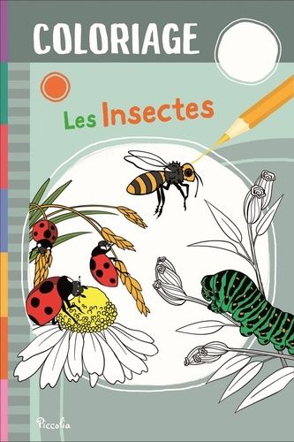 Emprunter Les insectes livre