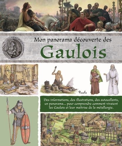 Emprunter Mon panorama des découverte des gaulois livre