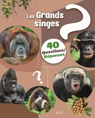 Emprunter Les grands singes livre