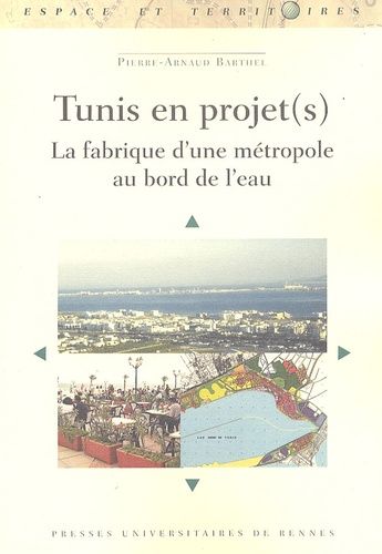 Emprunter Tunis en projet(s). La fabrique d'une métropole au bord de l'eau livre