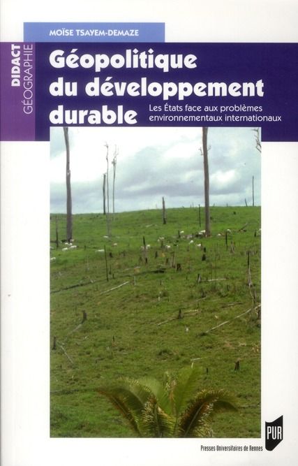 Emprunter Géopolitique du développement durable. Les Etats face aux problèmes environnementaux internationaux livre