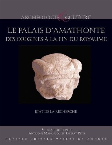 Emprunter Le palais d'Amathonte, des origines à la fin de l'Antiquité. Etat de la recherche livre