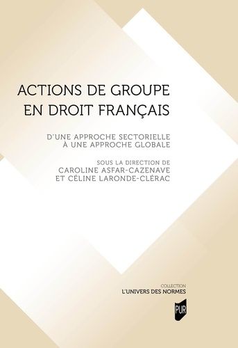 Emprunter Actions de groupe en droit français. D'une approche sectorielle à une approche globale livre