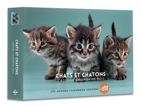 Emprunter L'agenda-calendrier Chats et chatons. Edition 2025 livre