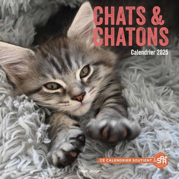 Emprunter Calendrier mural Chats et chatons. Edition 2025 livre