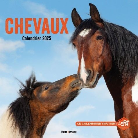 Emprunter Calendrier mural Chevaux. Edition 2025 livre