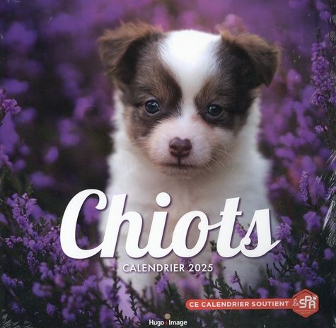 Emprunter Calendrier mural Chiots. Edition 2025 livre