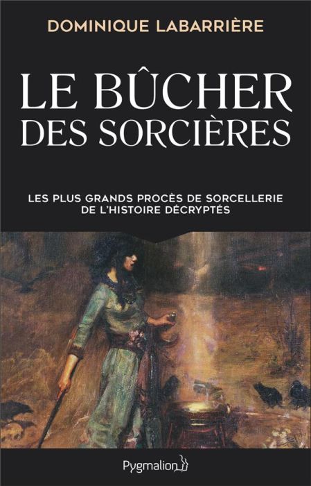 Emprunter Le bûcher des sorcières. Les plus grands procès de sorcellerie de l'histoire décryptés livre