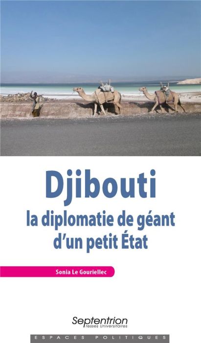 Emprunter Djibouti : la diplomatie de géant d'un petit Etat livre