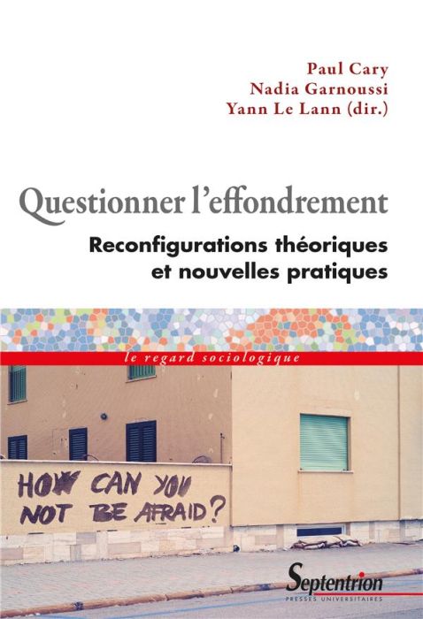 Emprunter Questionner l'effondrement. Reconfigurations théoriques et nouvelles pratiques livre