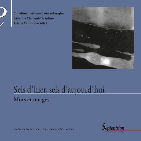 Emprunter Sels d'hier, sels d'aujourd'hui. Mots et images livre