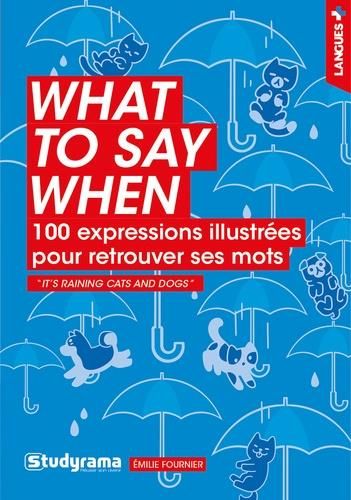 Emprunter What to say when. 100 expressions illustrées pour retrouver ses mots livre