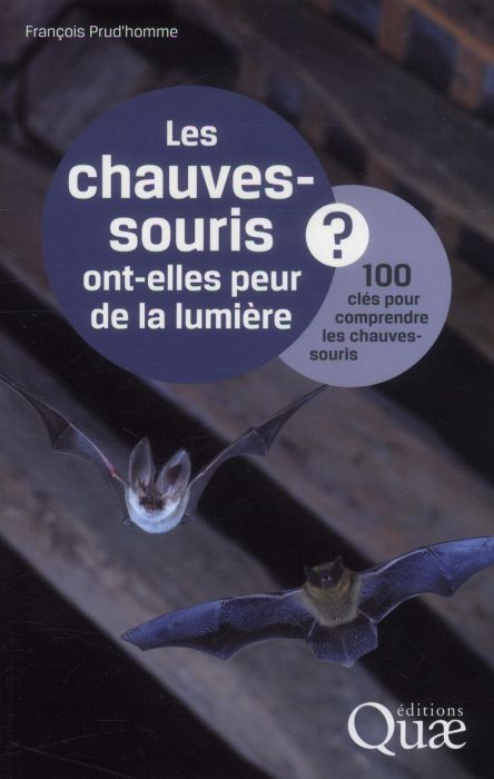 Emprunter Les chauves-souris ont-elles peur de la lumière ? / 100 clés pour comprendre les chauves-souris livre