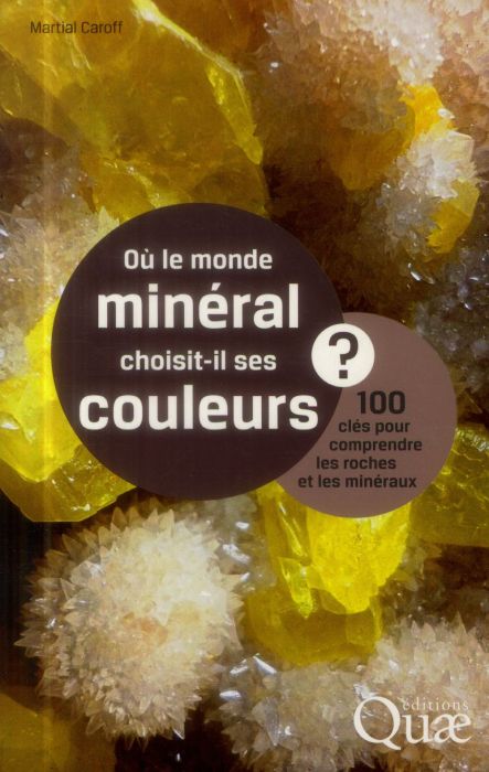 Emprunter Où le monde minéral choisit-il ses couleurs livre