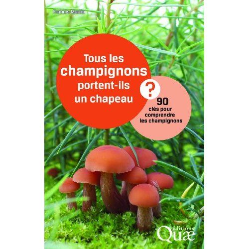 Emprunter TOUS LES CHAMPIGNONS PORTENT-ILS UN CHAPEAU  90 CLES POUR COMPRENDRE LES CHAMPIGNONS livre