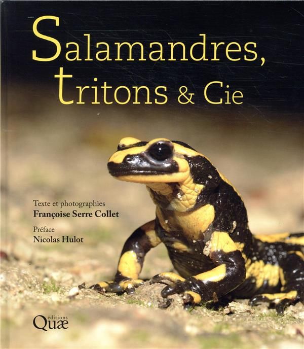 Emprunter Salamandres, tritons & Cie livre