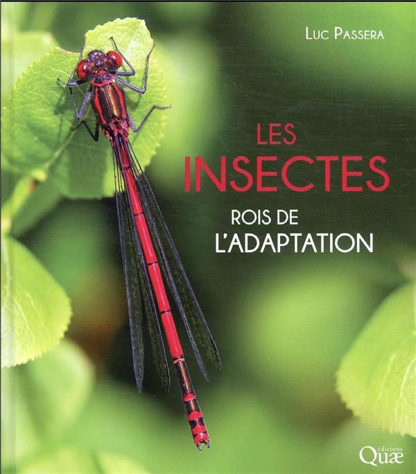 Emprunter Les insectes : rois de l'adaptation livre