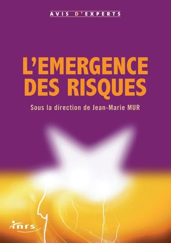 Emprunter EMERGENCE DES RISQUES (L') livre