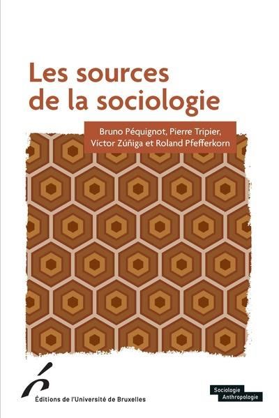 Emprunter Les sources de la sociologie livre