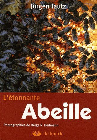 Emprunter L'étonnante abeille livre