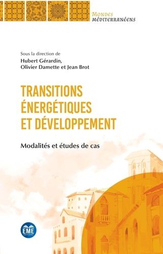 Emprunter Transitions énergétiques et développement. Modalités et études de cas livre