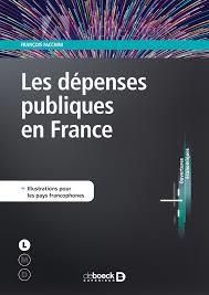 Emprunter Les dépenses publiques en France livre