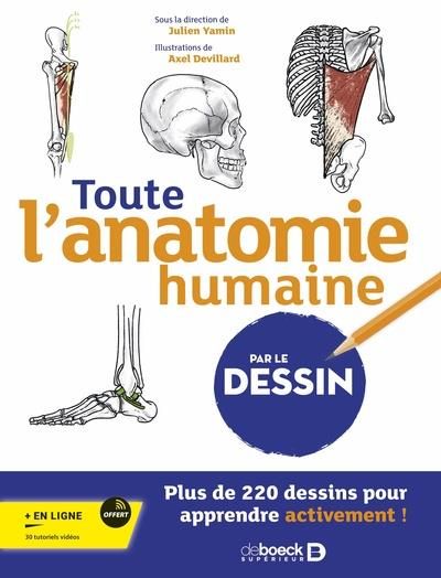 Emprunter Toute l’anatomie humaine par le dessin livre