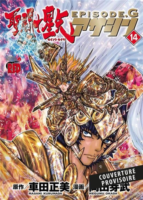 Emprunter Saint Seiya - Episode G Assassin/14/ livre