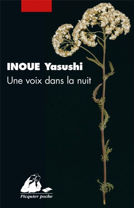 Emprunter Une voix dans la nuit livre