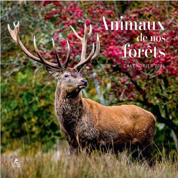 Emprunter Calendrier animaux de nos forêts. Edition 2024 livre