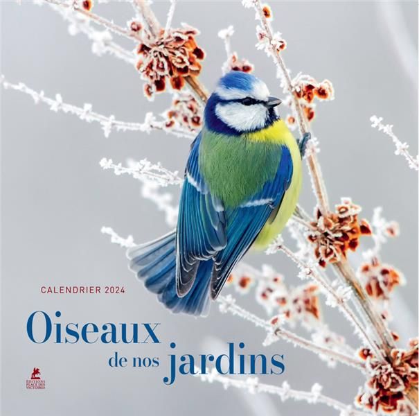 Emprunter Calendrier oiseaux de nos jardins. Edition 2024 livre