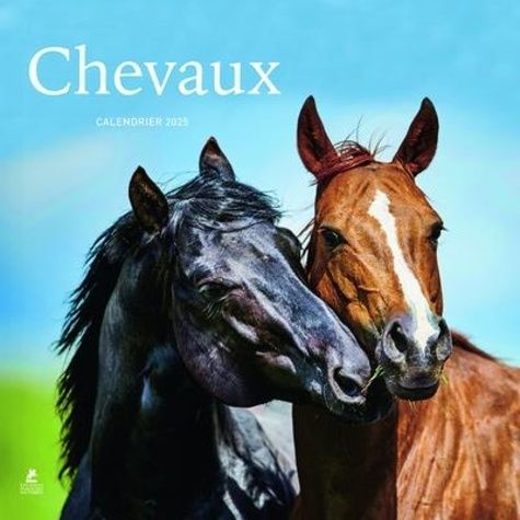 Emprunter Calendrier chevaux. Edition 2025 livre