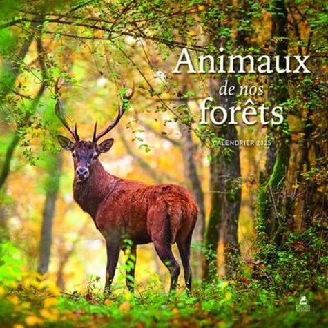 Emprunter Calendrier animaux de nos forêts. Edition 2025 livre