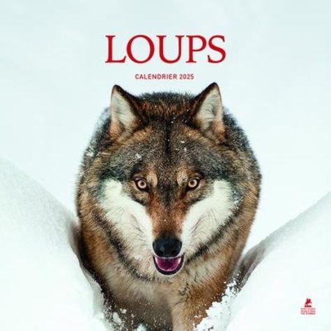 Emprunter Calendrier loups. Edition 2025 livre