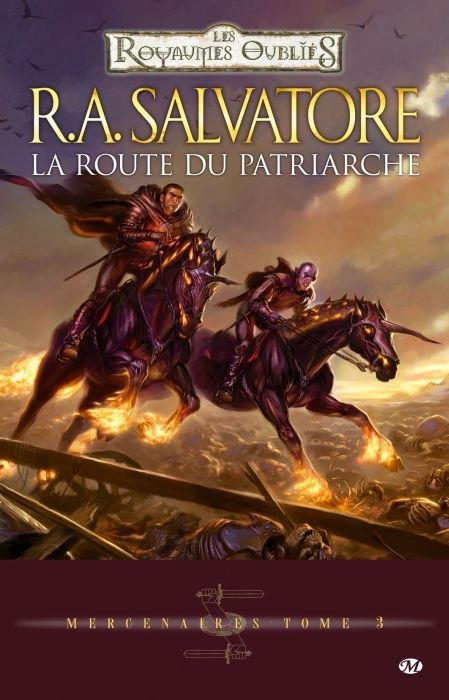 Emprunter Mercenaires Tome 3 : La route du patriarche livre