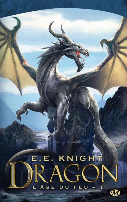 Emprunter L'Age de feu Tome 1 : Dragon livre