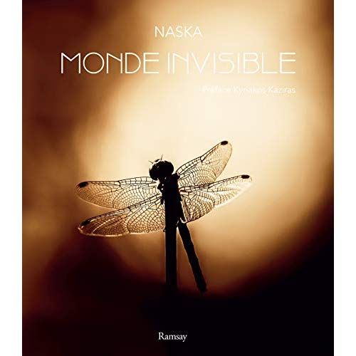 Emprunter Monde invisible livre