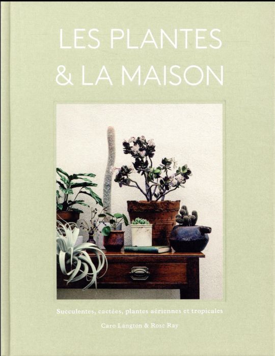 Emprunter Les plantes & la maison. Succulentes, cactées, plantes aériennes et tropicales livre